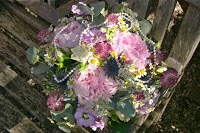The Flower Loft   Florist Martock, Yeovil 1082816 Image 3